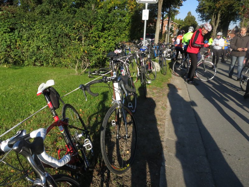 RTF Almabtrieb 040